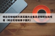 明日见柑橘照片真实图大全集高清视频在线观看（明日见柑橘果子图片）
