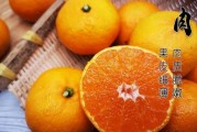 长期吃小蜜桔的好处(长期吃小蜜桔的好处与坏处)