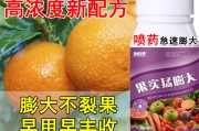 脐橙保花保果打什么药(脐橙保花保果的特效药)