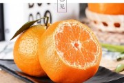 春见柑橘什么时候采摘最合适(春见柑橘什么时候采摘最合适呢)