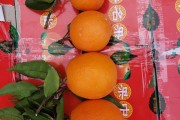 纽荷尔和脐橙是一个品种吗(纽荷尔和脐橙怎么区分)