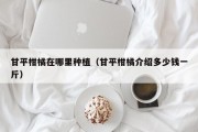 甘平柑橘在哪里种植（甘平柑橘介绍多少钱一斤）