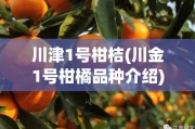 川津1号柑桔(川金1号柑橘品种介绍)