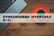 甘平柑橘怎样的裂果最快（甘平柑橘介绍多少钱一斤）