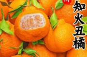 耙耙柑和橘子的功效一致吗(耙耙柑和橘子的营养区别)