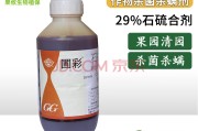 柑橘白粉病培养基培养(桔树白粉病用什么药)