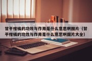 甘平柑橘的功效与作用是什么意思啊图片（甘平柑橘的功效与作用是什么意思啊图片大全）