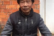 柑橘栽培技术与管理论文题目怎么写（小学学校门口适合做什么样的生意）