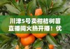 川津5号卖柑桔树苗直播间火热开播！优质高产柑桔苗限时直降抢购中