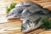 爱媛50号柑桔新品种简介（柑橘果实补钙的最佳时期是什么时候）