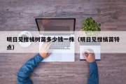 明日见柑橘树苗多少钱一株（明日见柑橘苗特点）