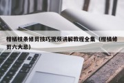 柑橘枝条修剪技巧视频讲解教程全集（柑橘修剪六大忌）