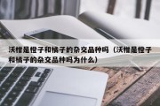 沃柑是橙子和橘子的杂交品种吗（沃柑是橙子和橘子的杂交品种吗为什么）