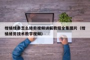 柑橘枝条怎么修剪视频讲解教程全集图片（柑橘修剪技术教学视频）