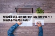 柑橘枝条怎么保存最好的方法视频教学图片（柑橘枝条干枯是什么病）