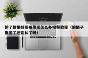 偷了柑橘枝条被发现怎么办视频教程（偷橘子报警了还能私了吗）