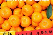 蜜桔和蜜橘是什么意思啊区别(蜜桔和蜜橘是什么意思啊区别大吗)