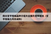 四川甘平柑橘品种介绍大全图片视频播放（甘平柑橘几月份成熟）