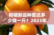 柑橘新品种密达多少钱一斤？2023年市场行情与产地价格深度解析