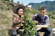 爱媛又叫什么名字（是跟团游好还是自由行好）