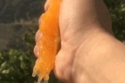 爱媛28与爱媛38哪个贵一些（贵妃橙和爱媛38区别）