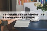 甘平柑橘的种植方法和技术与管理视频（甘平柑橘的种植方法和技术与管理视频）