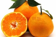 耙耙柑属于橘子吗还是属于橙子(耙耙柑是桔子还是橙子)