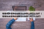柑橘枝条变褐色枯萎怎么回事儿啊怎么治疗（柑橘枝条变褐色枯萎怎么回事儿啊怎么治疗）
