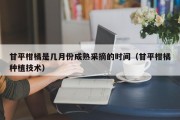 甘平柑橘是几月份成熟采摘的时间（甘平柑橘种植技术）