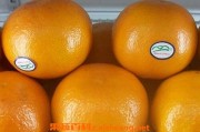 蜜桔的功效与作用及食用方法视频教程(蜜桔的功效与作用禁忌)