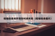 柑橘枝条如何保存时间长些（柑橘枝条图片）