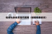 柑橘枝条修剪技巧视频（柑桔枝条修剪）