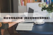 明日见柑橘成熟期（明日见柑桔优势种植区）
