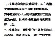 柑橘褐斑病防治技术指南(柑橘褐斑病的防治)