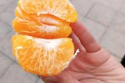 罗氏果业春见粑粑柑多少钱(春见粑粑柑作用功效)