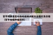 甘平柑橘皇后好养吗视频讲解大全图片及价格（甘平柑橘种植技术）