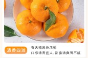 南丰蜜桔乡桔价格(南丰蜜桔价格报价)