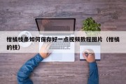 柑橘枝条如何保存好一点视频教程图片（柑橘的枝）