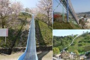 日本爱媛在哪个城市（路明非带绘梨衣最后去的那座山）