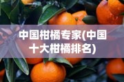中国柑橘专家(中国十大柑橘排名)
