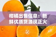 柑橘出售信息：新鲜优质货源现正火热销售中