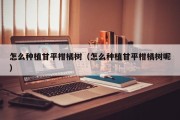 怎么种植甘平柑橘树（怎么种植甘平柑橘树呢）