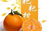 耙耙柑降火么(耙耙柑吃了下火吗)