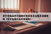 甘平柑橘品种介绍图片及价格大全集高清版视频（甘平柑橘什么时候成熟）