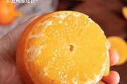 蜜桔书单官方(蜜桔2app官网)