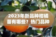 2023年新品种柑橘苗有哪些？热门品种与种植推荐全解析