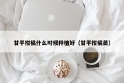 甘平柑橘什么时候种植好（甘平柑橘苗）