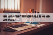 柑橘枝条如何保存最好视频教程全集（柑橘树上保鲜方法）