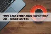 柑橘枝条快速生根技巧图解视频大全教程图片欣赏（如何让柑橘树生根）