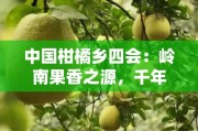 中国柑橘乡四会：岭南果香之源，千年柑桔文化的绿色传奇